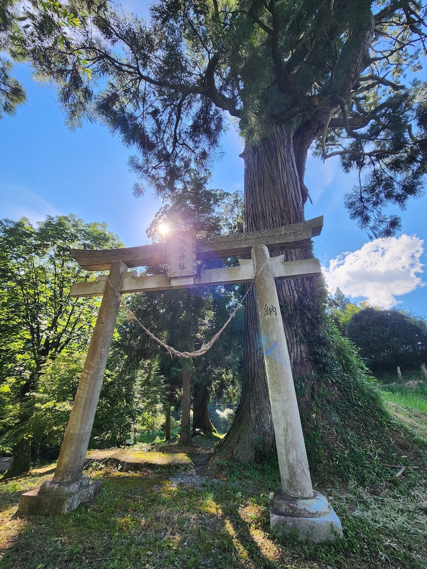 納池公園｜竹田市